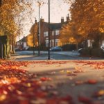 autumn leaf cleanup service