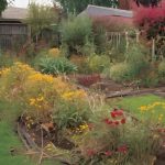 avoid common garden mistakes