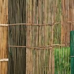 best garden fencing options