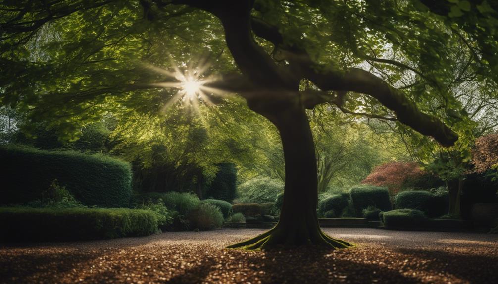 expert tree care services