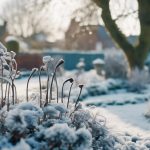 gardening tips for winter