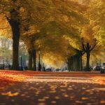 leaf clearance in edgbaston