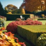 northfield garden tidy up