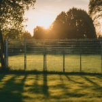 protecting bearwood with fencing