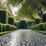 residential driveway cleaning services