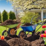 spring garden cleanup tips