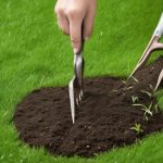 top lawn renovation services