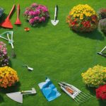 year round lawn care plans